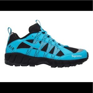 Meet your Posher, Dino